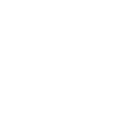 Holistic Wellness 🧘‍♀